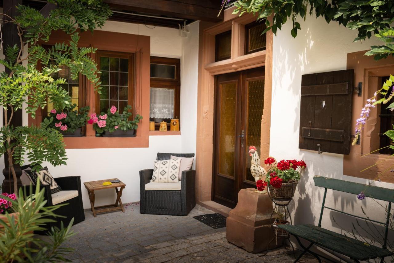 Maison Dietenbeck Wissembourg Exteriör bild